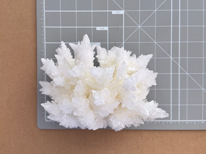 Aragonite stalactite "cave calcite," Santa Eulalia (cabinet piece)