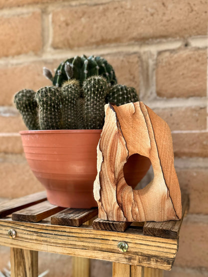 A thin wide sandstone arch on a wood shelf in front of a cactus in a bowl. The arch has a hole cut out of the middle and thin dark banding.