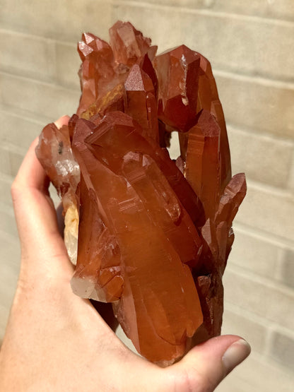 A side of the specimen with well-formed large red quartz points, with the point of the sideways crystal visible at the top. The tip of the point is chipped and abraded appearing. Beneath it it a hole where you can see through the specimen. From this angle the specimen is very saturated.