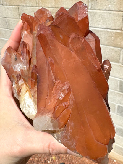 Close view of the largest crystal in the specimen, a long broad point that splits into multiple terminations.