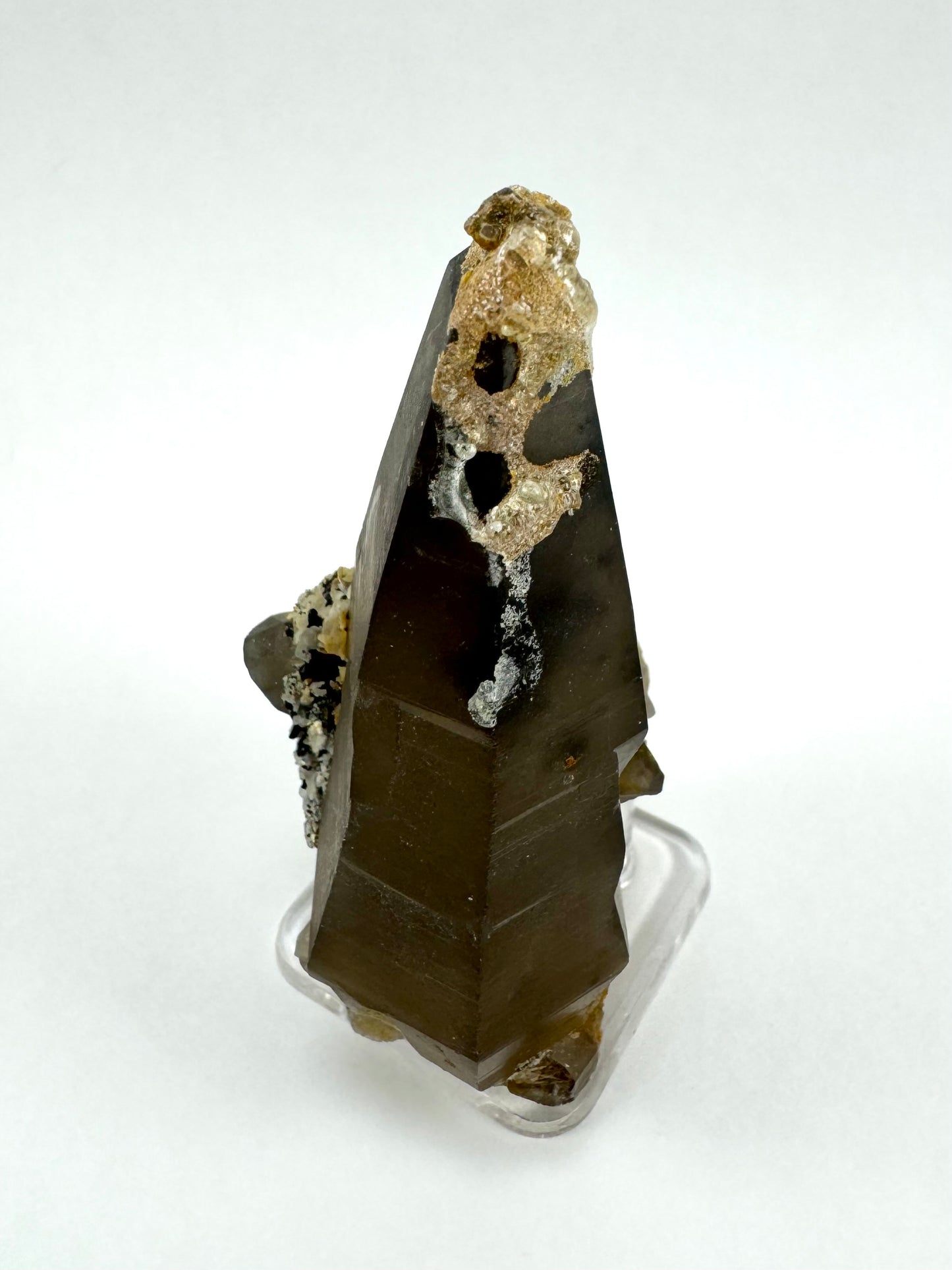 The first of three lighting images: a tapered triangular smoky quartz point, deep brown-black color with a crust of golden hyalite on the tip with two cheeseholes in it.