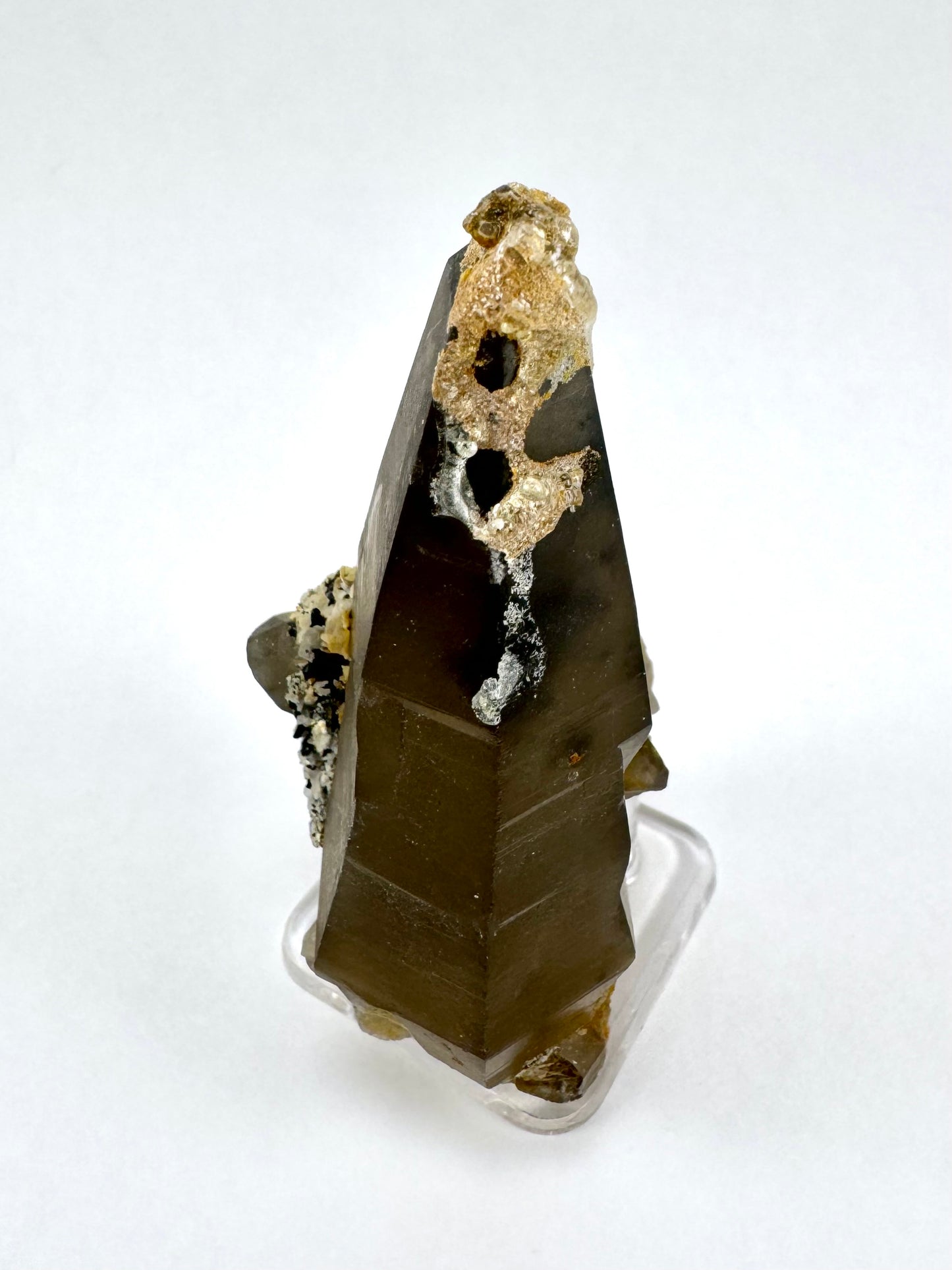 The first of three lighting images: a tapered triangular smoky quartz point, deep brown-black color with a crust of golden hyalite on the tip with two cheeseholes in it.