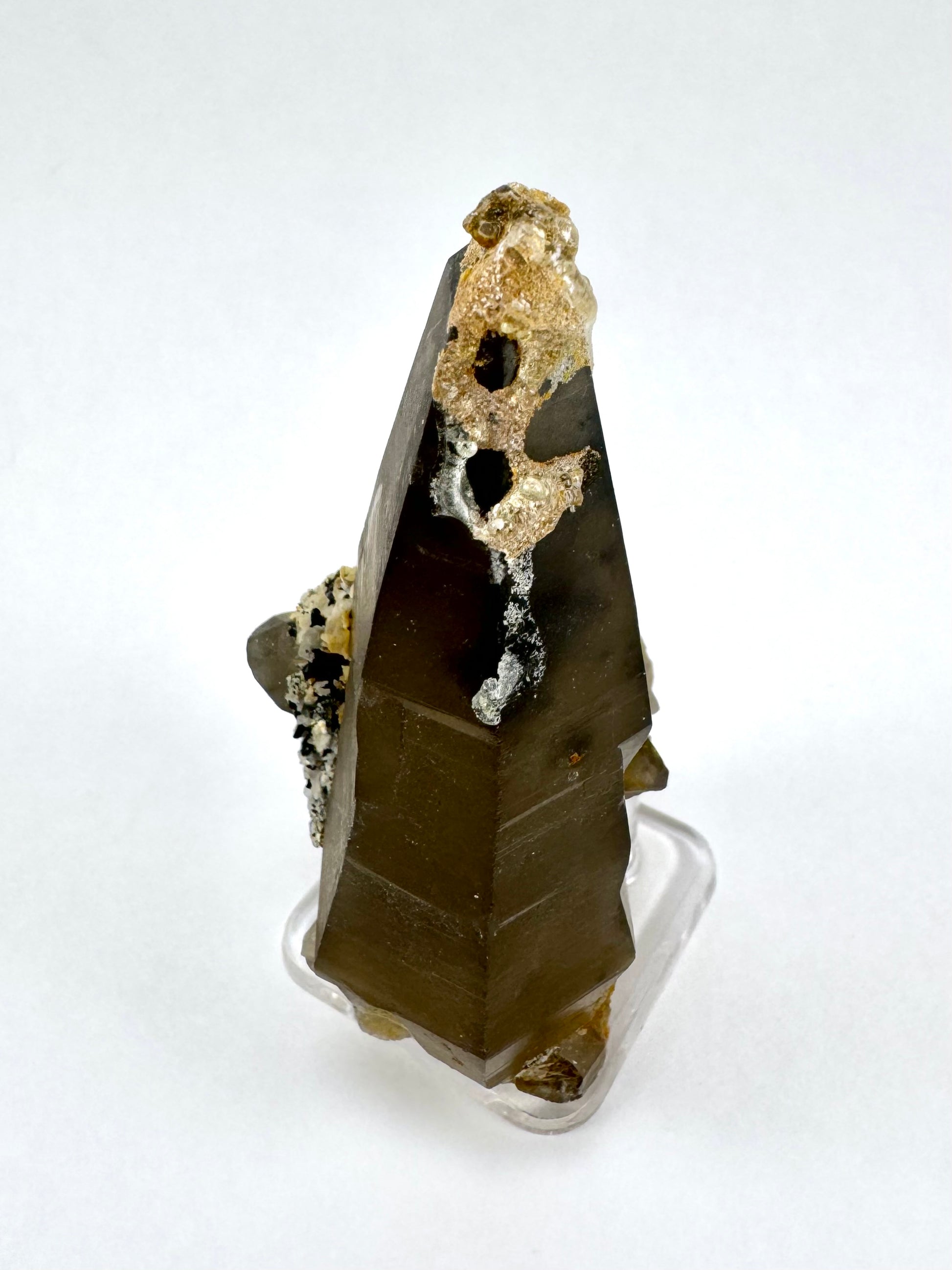 The first of three lighting images: a tapered triangular smoky quartz point, deep brown-black color with a crust of golden hyalite on the tip with two cheeseholes in it.