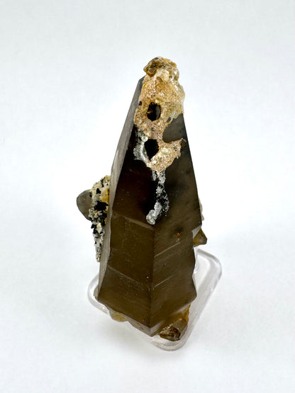 The first of three lighting images: a tapered triangular smoky quartz point, deep brown-black color with a crust of golden hyalite on the tip with two cheeseholes in it.