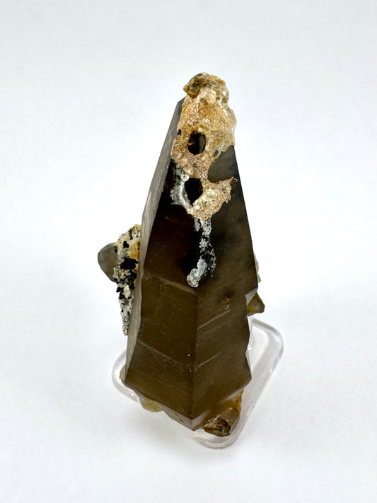 The first of three lighting images: a tapered triangular smoky quartz point, deep brown-black color with a crust of golden hyalite on the tip with two cheeseholes in it.