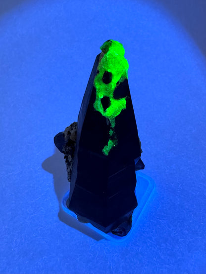 The third of three lighting images: the piece in the same position as the previous image, illuminated with UV light. The hyalite fluoresces a strong yellowish-green.