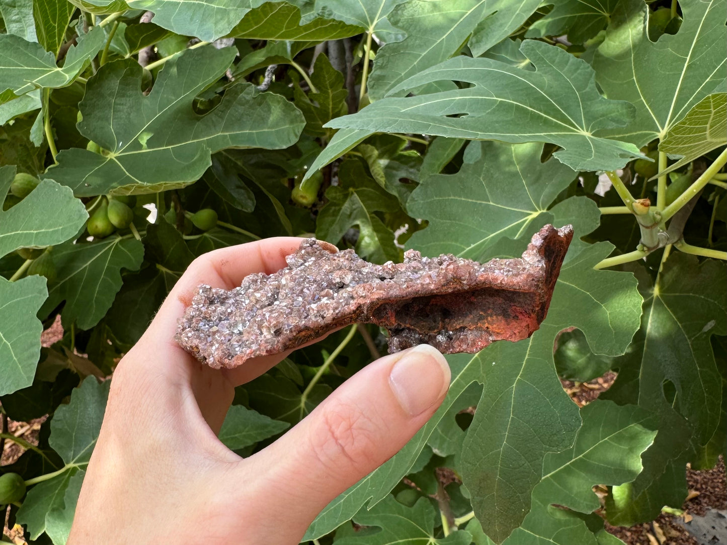 Side-view of the piece, showing it is a thin curved piece of crust with the druzy on one side.