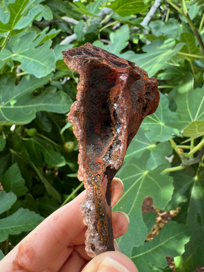 Side-view of the piece, showing it is a thin ferrous crust with red and yellow oxidation.