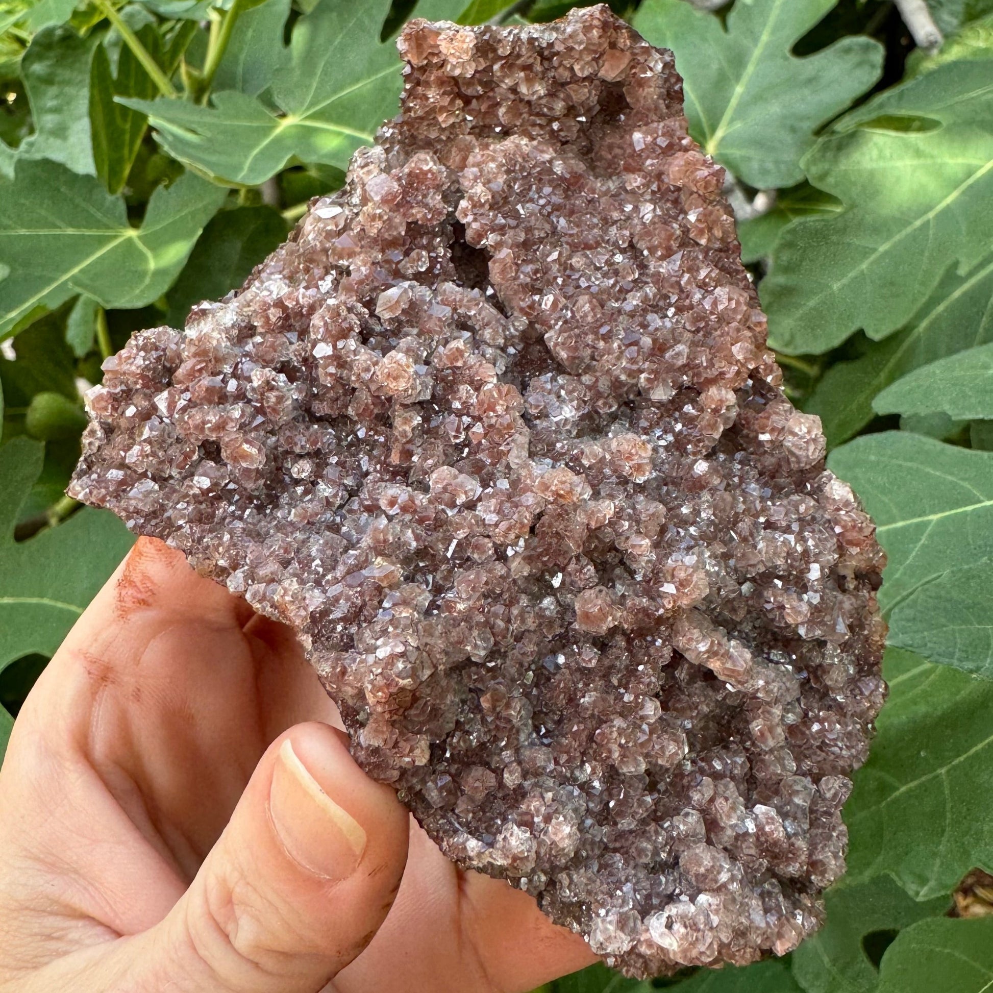 Full view of the front of the mineral in indirect light, a triangular flat piece covered in chunky glittering druzy. The druzy has a milky color with red tint at the center of the crystals.