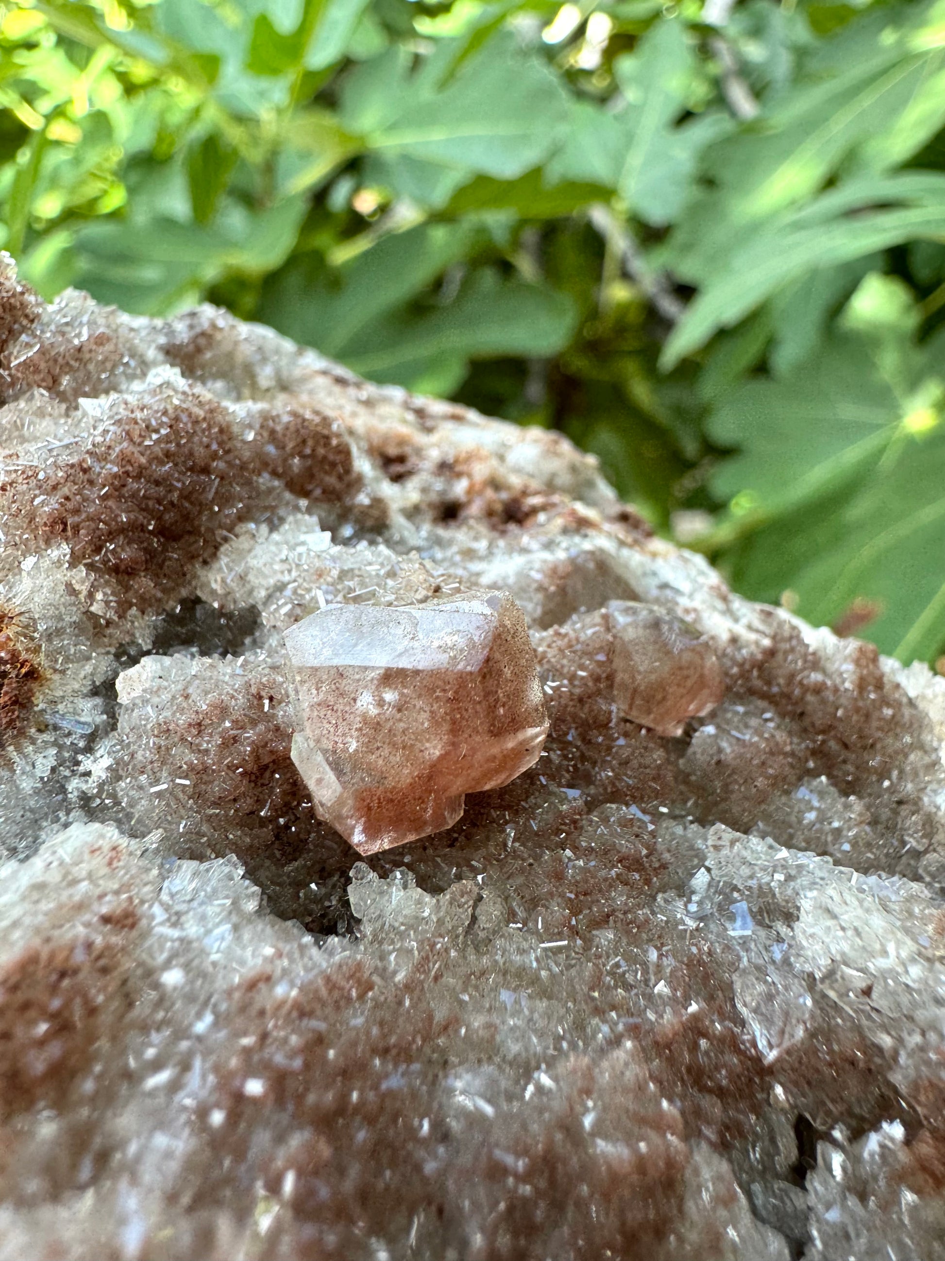 Detail view of one of the larger calcite crystals, colorless with fine red-brown spot inclusions