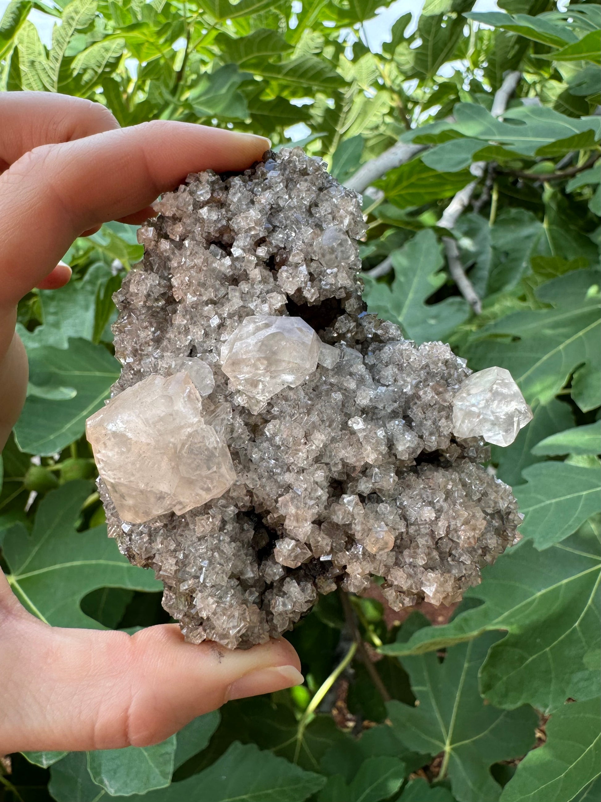 Full view in indirect light, good icy colorless calcite color to the druzy with slightly yellow-tinted larger crystals. The dark matrix shows through in the gaps of the druzy.