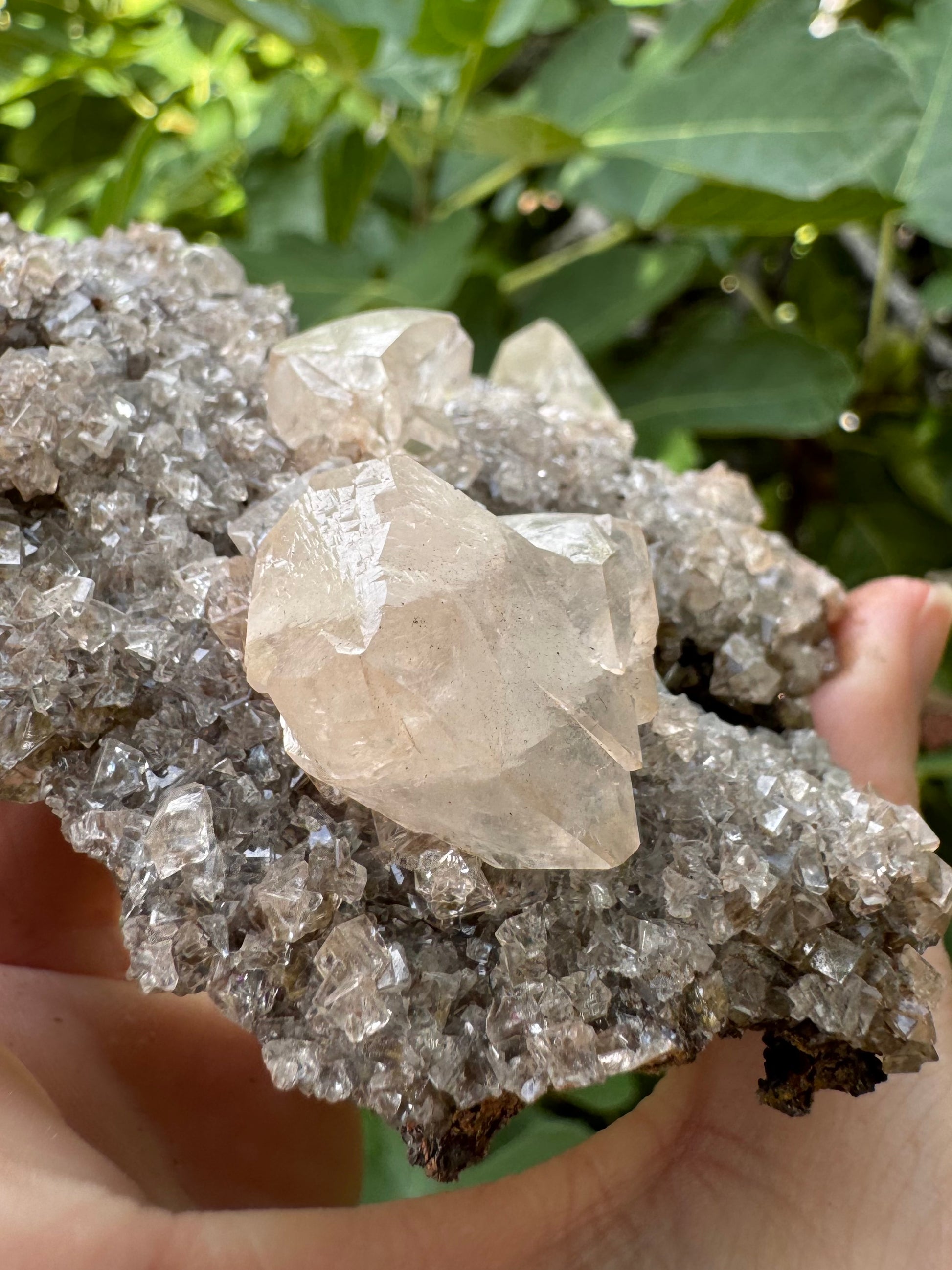 Detail of the largest calcite crystal, showing a modified rhombohedral shape with internal cleavage planes visible. The druzy appears almost cubic in shape