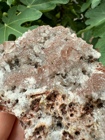 Detail view of an edge with hole-filled porous-looking matrix in the foreground stained with dark red-brown iron-oxides. About the piece is covered in the icy white colorless druzy, with several larger crystals, all dusted in red-brown.