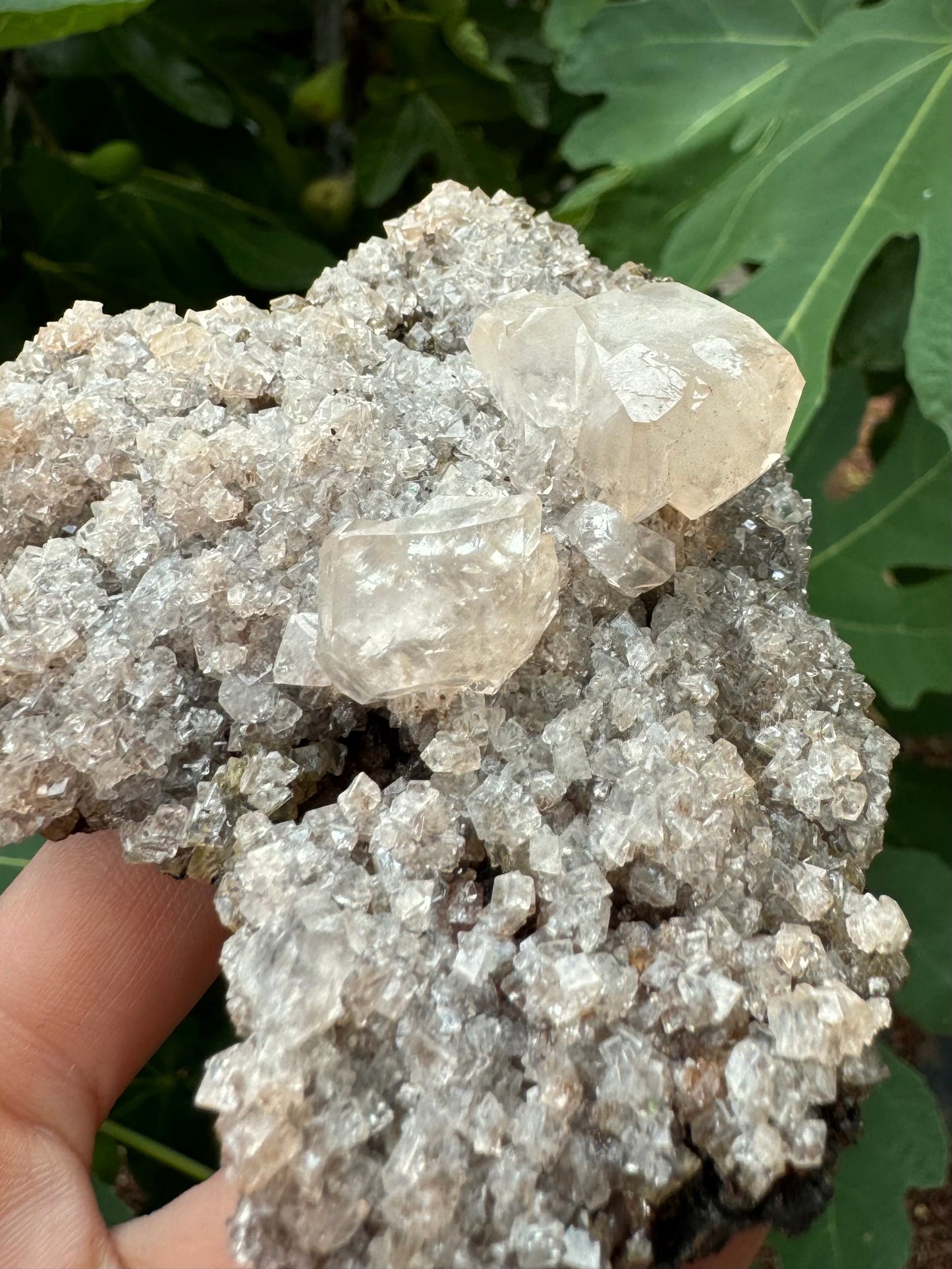 Detail of the two larger calcite crystals in full sun with light catching them to highlight their internal features and faces.