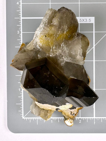 Scale image of the piece on a measuring mat, measuring over three inches long by over two inches wide.