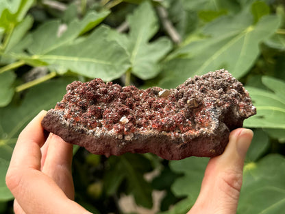 Side view of the piece showing it is on a flat piece of iron oxide matrix, with a dark red-brown coloration.