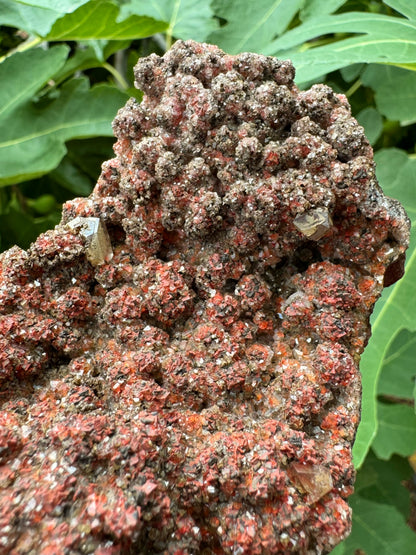 Detail view of an end with more black-white druzy pattern and less red crystals in the mix. Two larger angular yellow calcite crystals are on the surface