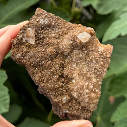 Full view of a flat irregular shaped mineral, with light yellow-brown druzy on matrix with a few larger calcite crystals on top.