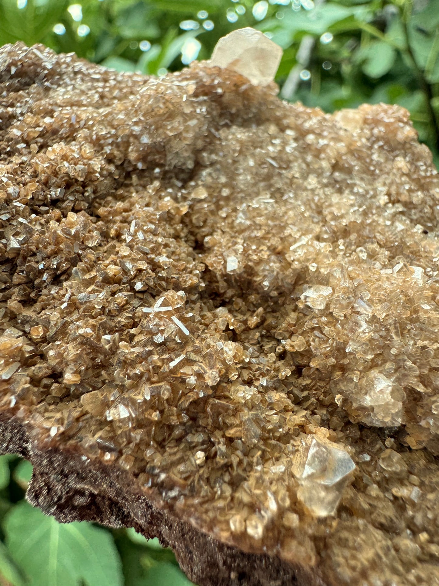 Detail view of the druzy. it appears largely colorless with a matte tan-colored overgrowth giving it the duller appearance and coloration. Two intersecting crystals form an 'X' scape.