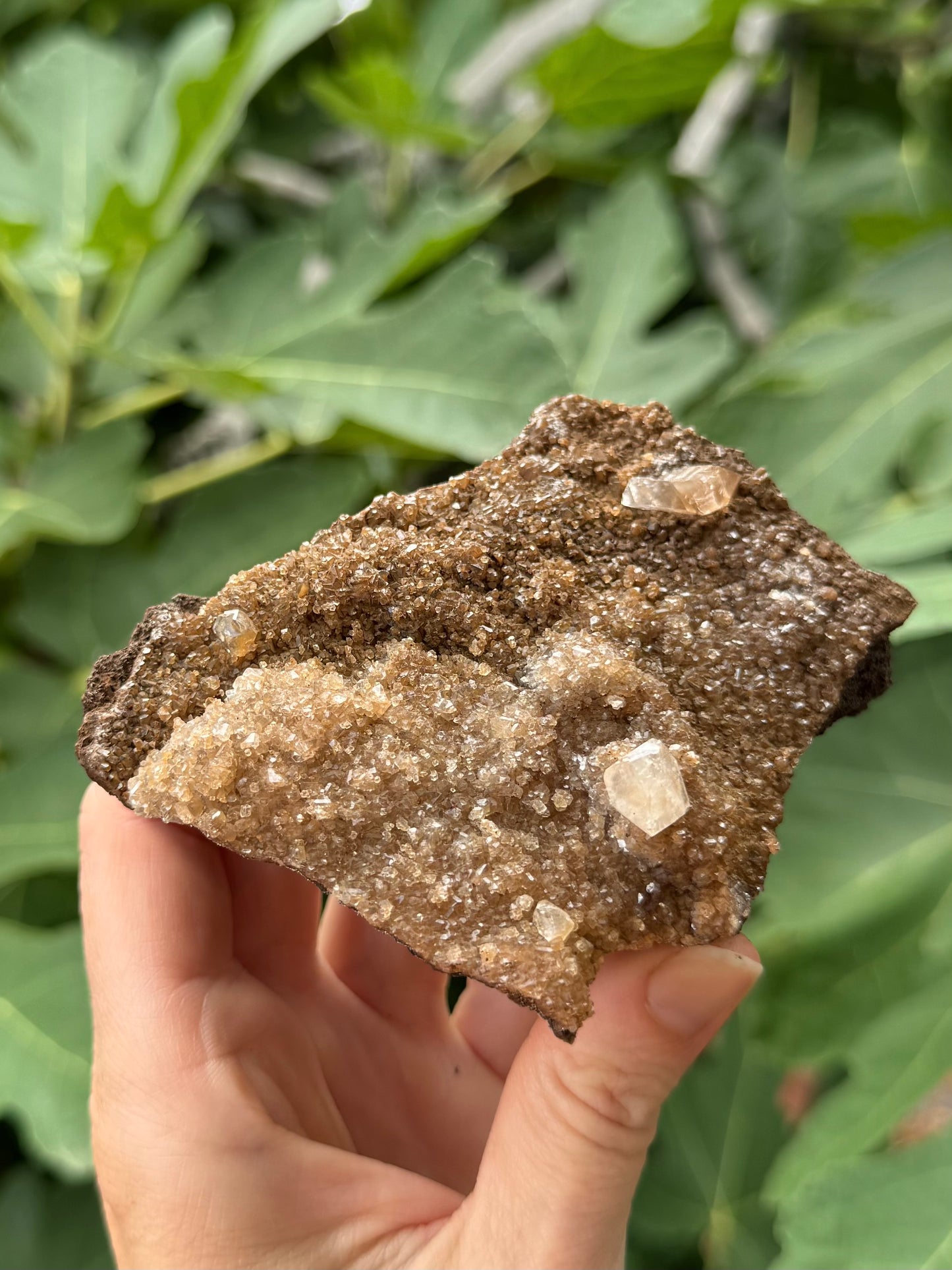 Angled view of the piece, showing a patch of lighter druzy in the foreground with better glitter.