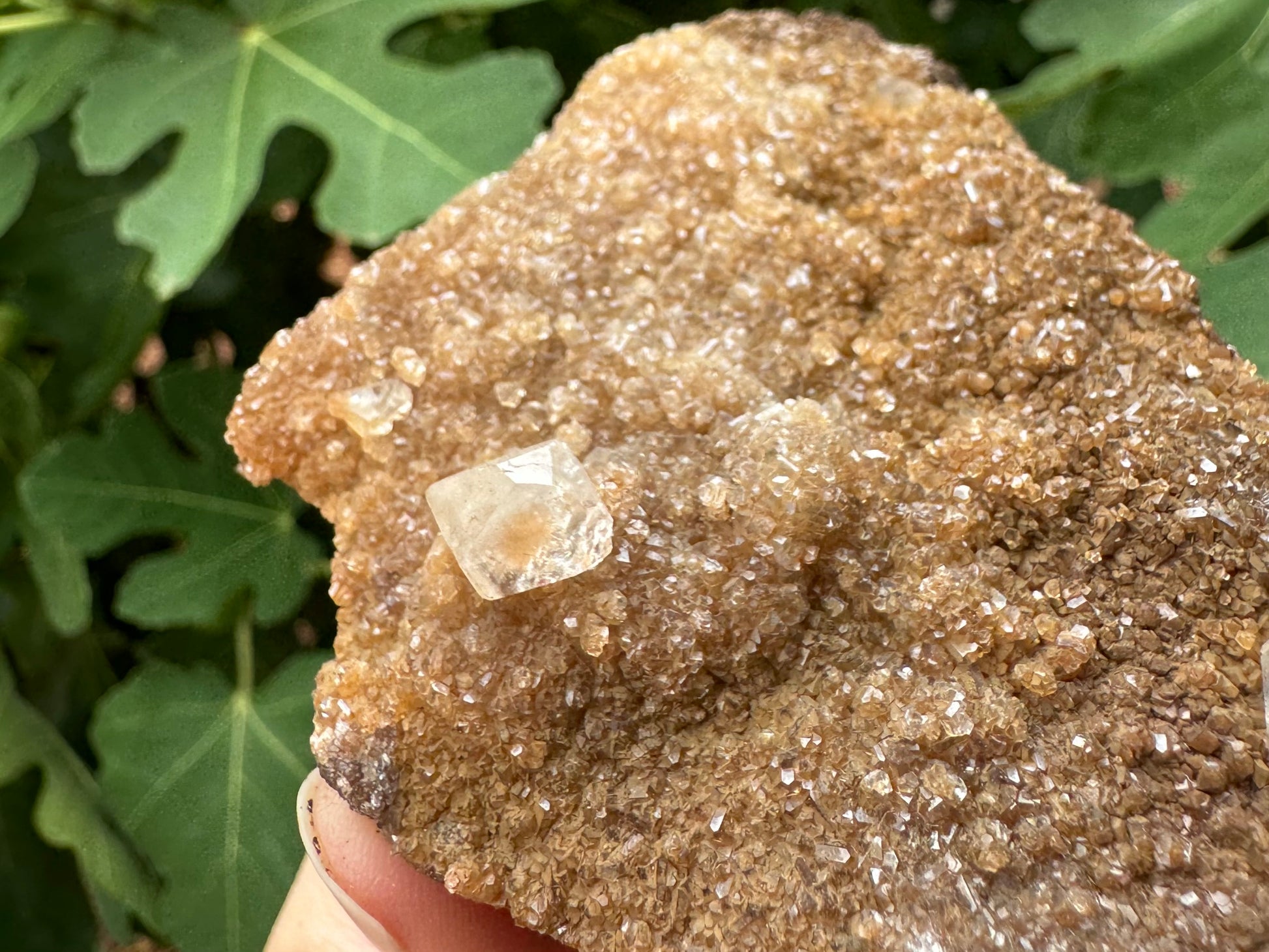 Detail of the other large calcite crystal, with good form, clarity and shine.