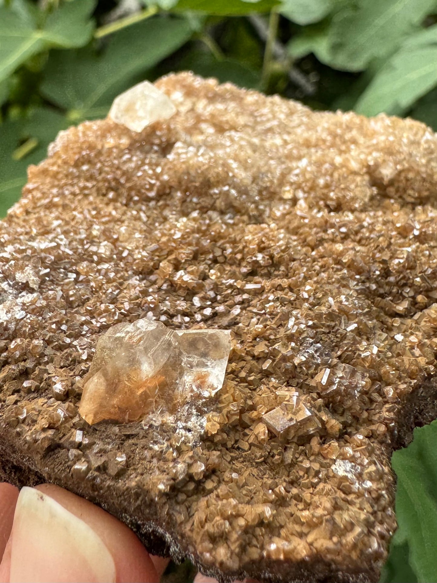 Angled detail view of the calcite druzy, showing beveled edges of the crystals catching light The druzy is largely dulled by the accompanying tan mineral overgrowth. There is an excellent tabular crystal in the foreground