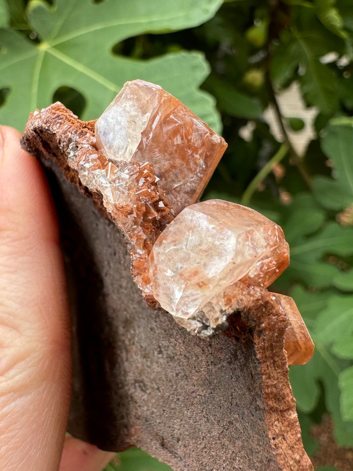 Detail of two of the larger calcite crystals with some clarity, and with red and colorless intersecting pyramidal druzy between them.