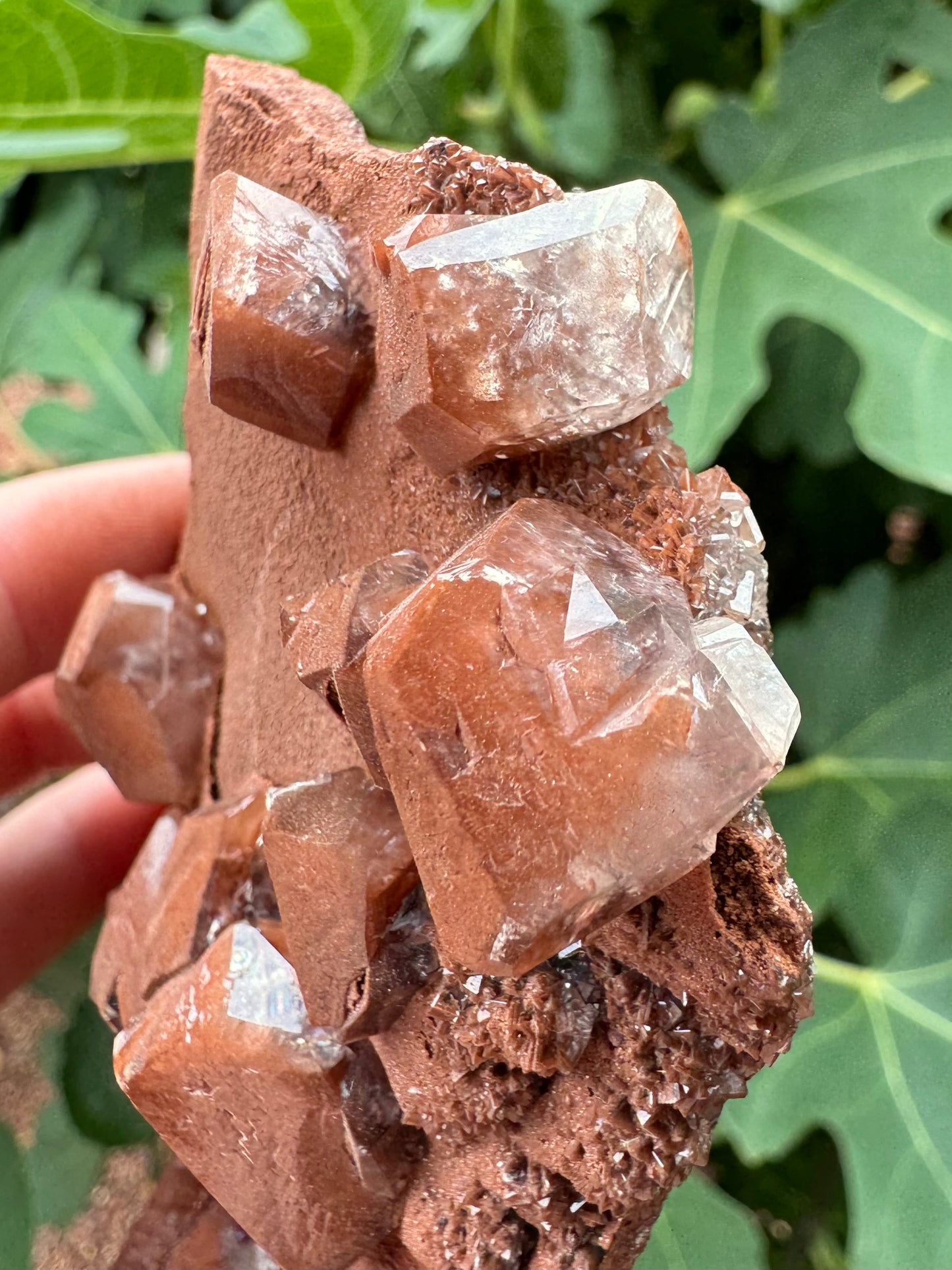 Detail of calcite crystals in the edge that are heavy with red inclusions on top but fade to colorless. The light flashes of interior feeatures.