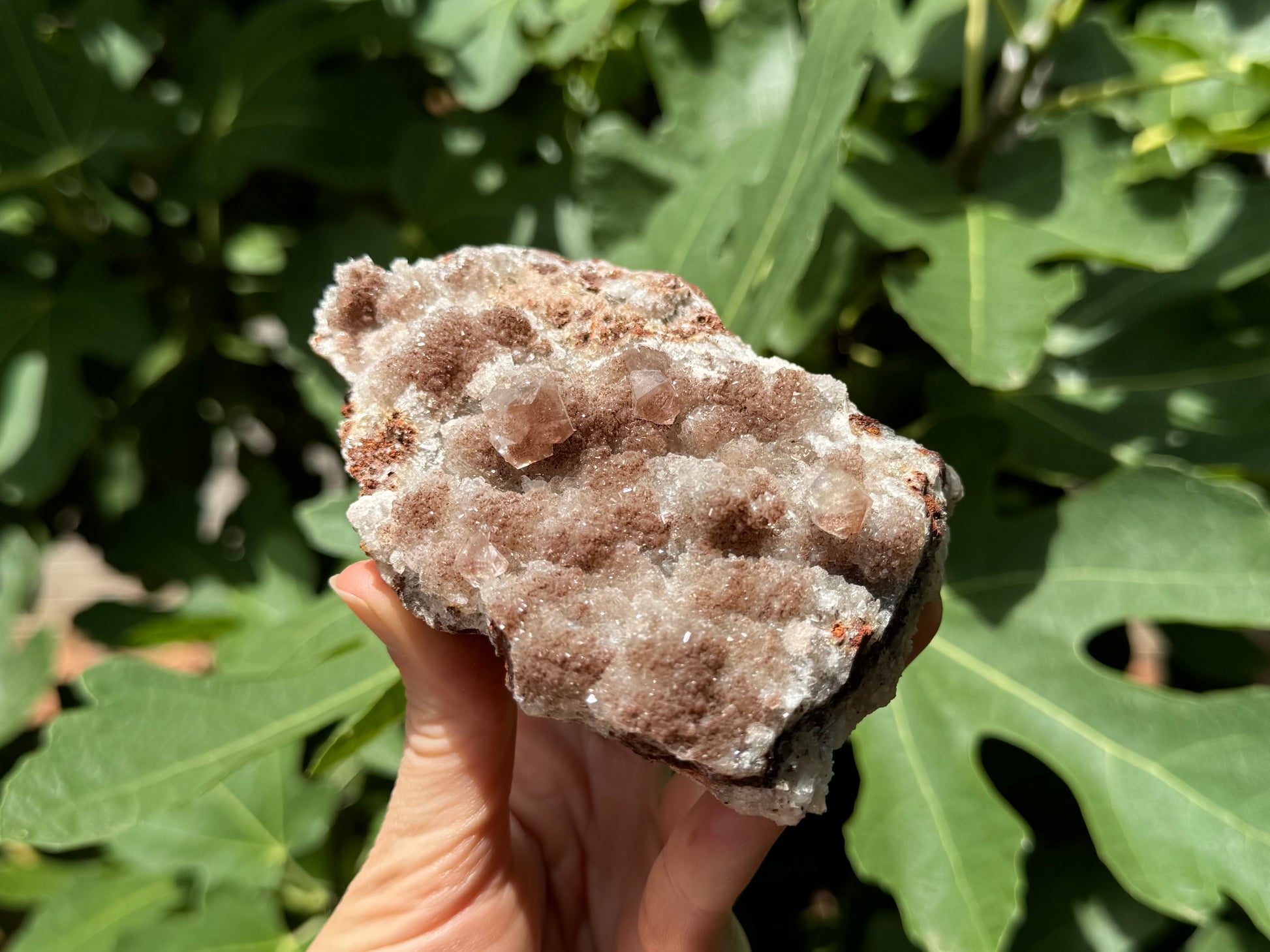 Angled view of the piece in full sun, showing the druzy appears white and toasted with a brown coating.