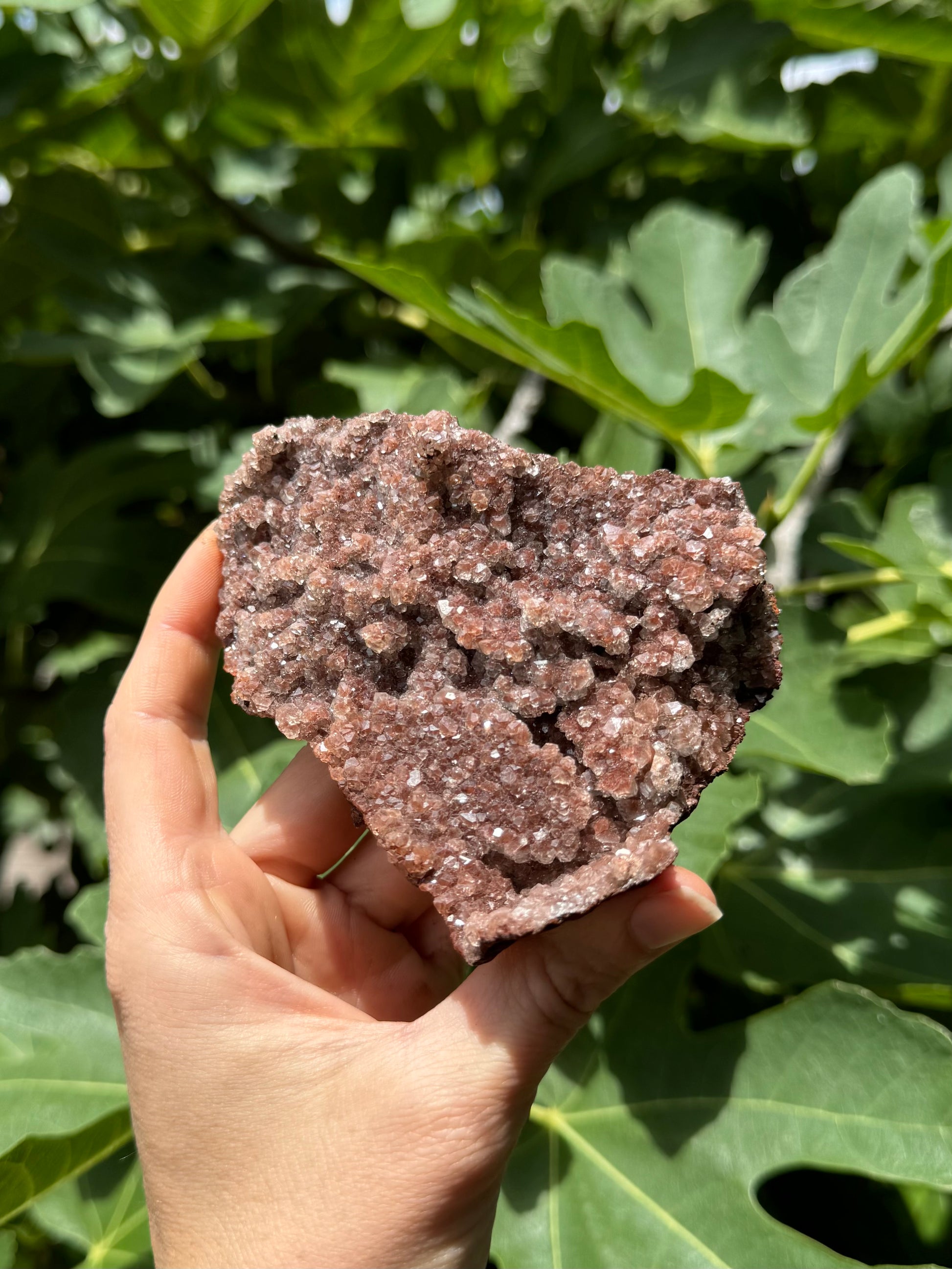 Full view of the piece in full sun, showing more of the red color in the druzy. The surface texture is also more apparent, as there are some pockets and layers of crystals.