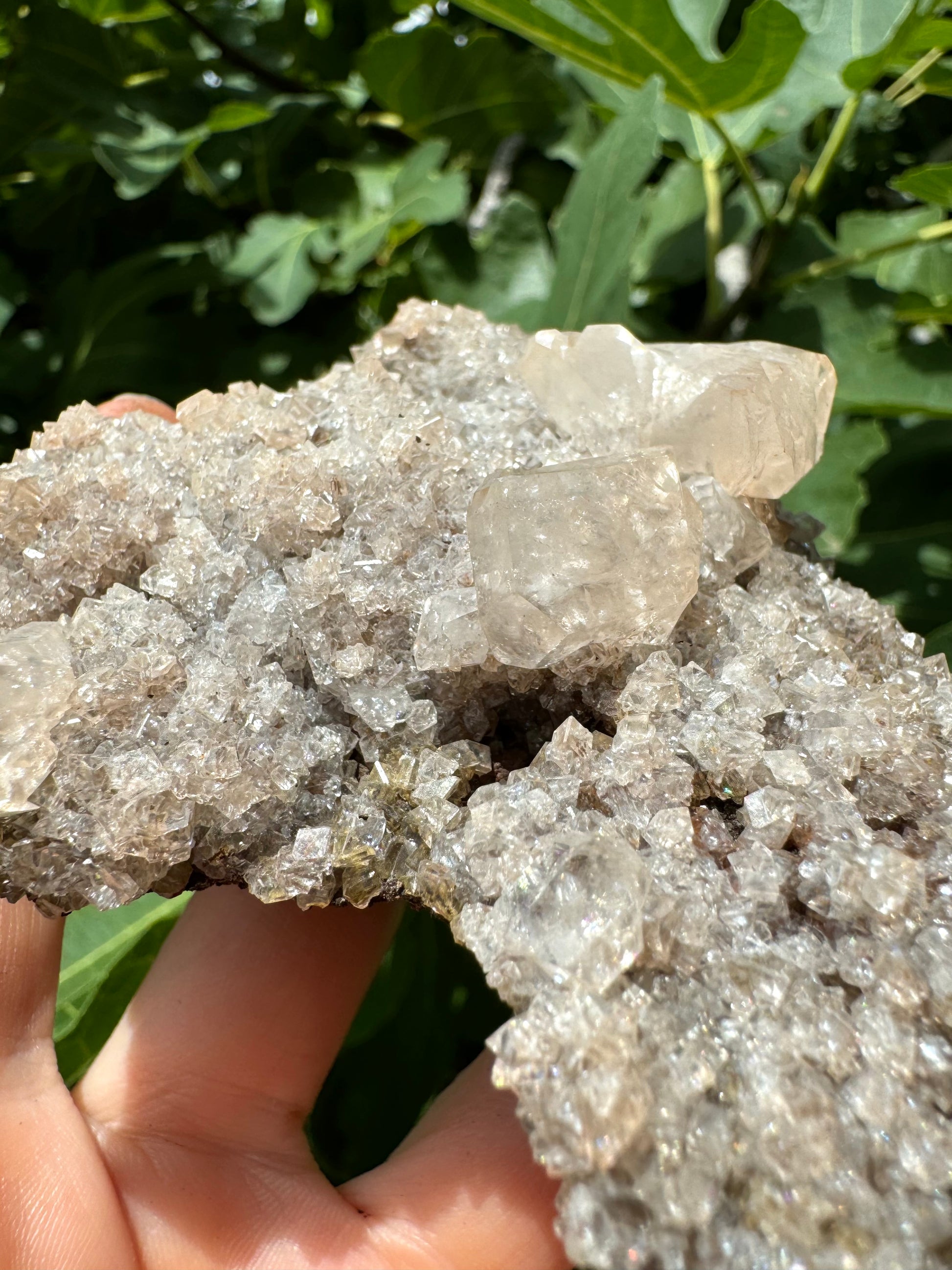 Full sun view of the two larger calcite crystals and druzy, showing the material is quite glittery