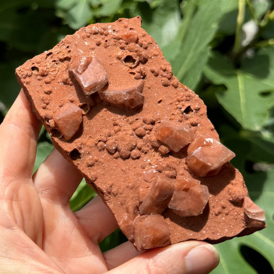 The piece in full sun, a flat rectangular piece of matrix with a fine sandy druzy glittering in the sun, lumpy growths, and large calcite crystals. The whole piece has the same red-tinted brown color.