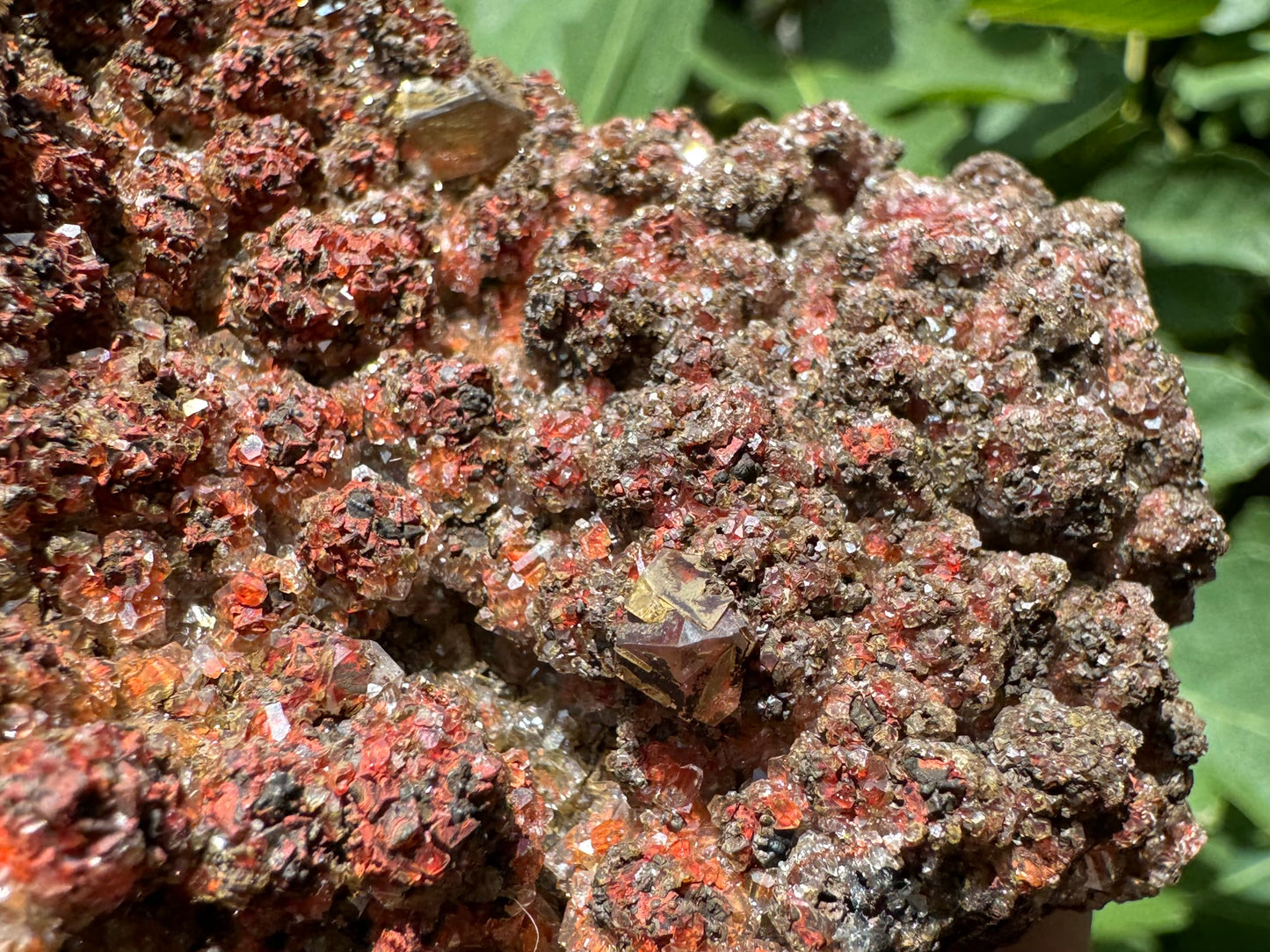 Detail of the red-black crystal aggregate in full sun, with one of the larger calcite crystals in the foreground. It looks as though it has a opaque yellow layer under the surface.