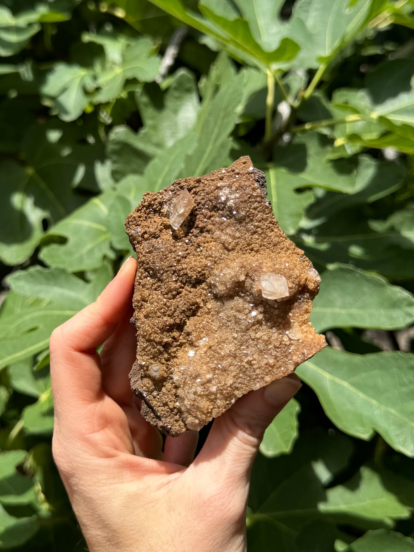 The piece in full sun, showing some glitter to the druzy, The larger calcite crystals have good clarity and are fairly colorless.