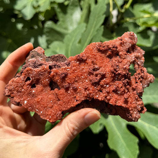 Full view of the piece in full sun, covered in slightly glittery brick-red druzy. It is flat and irregularly shaped with a hole through the right end.