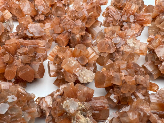 A bunch of red-brown sputnik aragonite clusters spread out on a white background