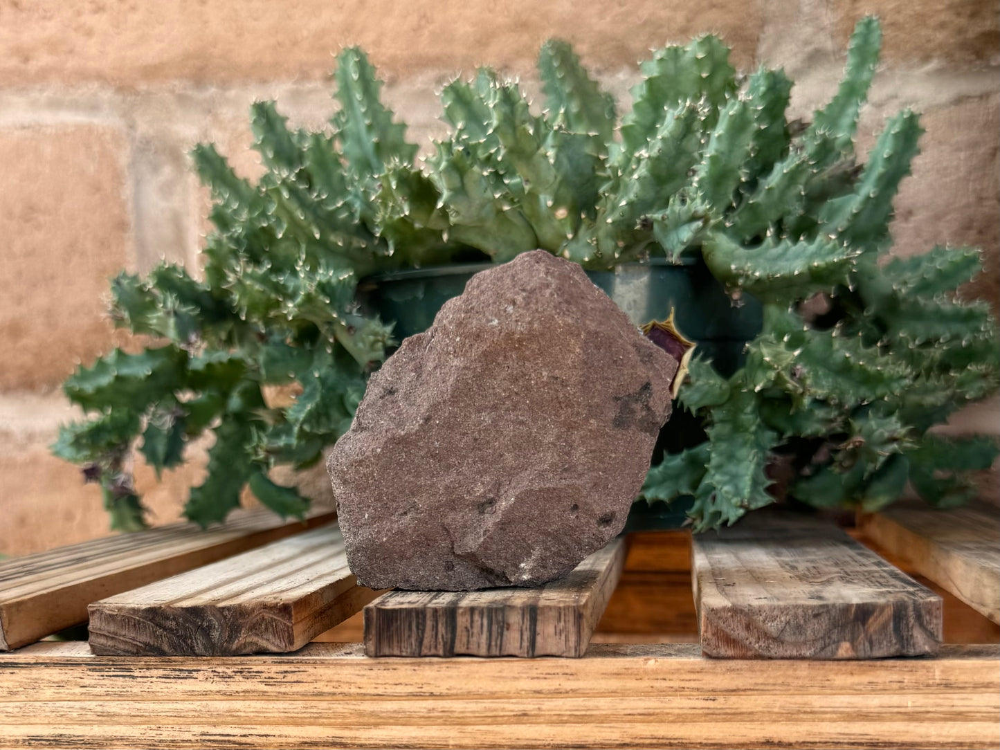 The back of the specimen, plain grain brown rock with no pyrolusite.