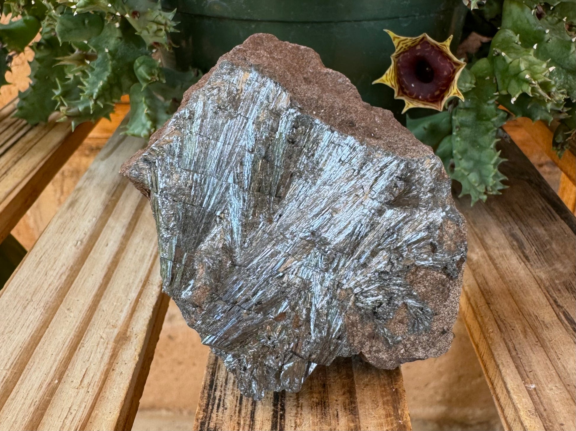 A chunk of matrix with one flat side covered with radial sprays of pyrolusite, with light parallel fracturing through it.