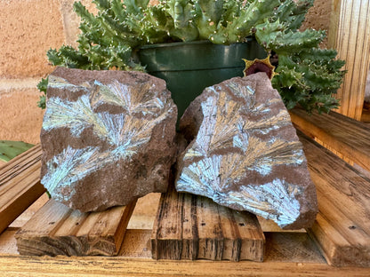 Two chunks of matrix with a complex flat fanning pattern on the surface in silver metallic pyrolusite. The pattern matches in mirror-image on the two pieces, as if split in two and opened.