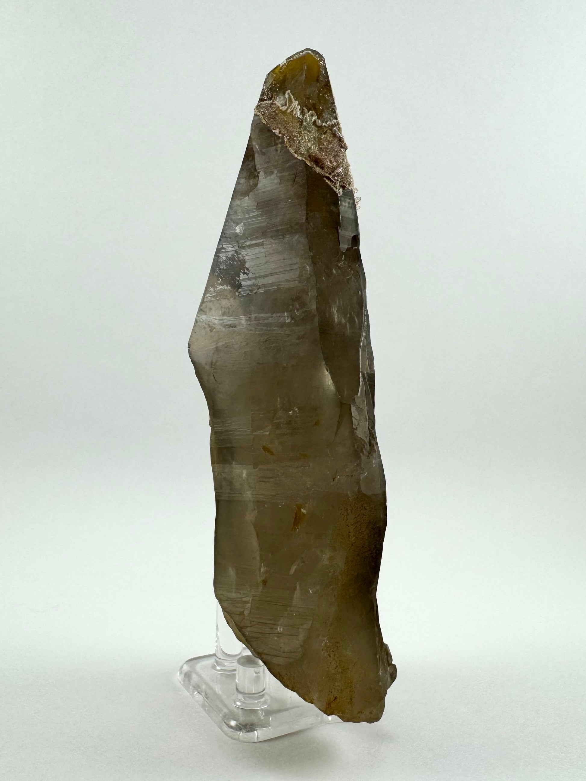 The quartz point tilted to show a profile that is very straight in the top half, and then curved and angled on the bottom. There is a dark patch at the base of the smoky quartz.