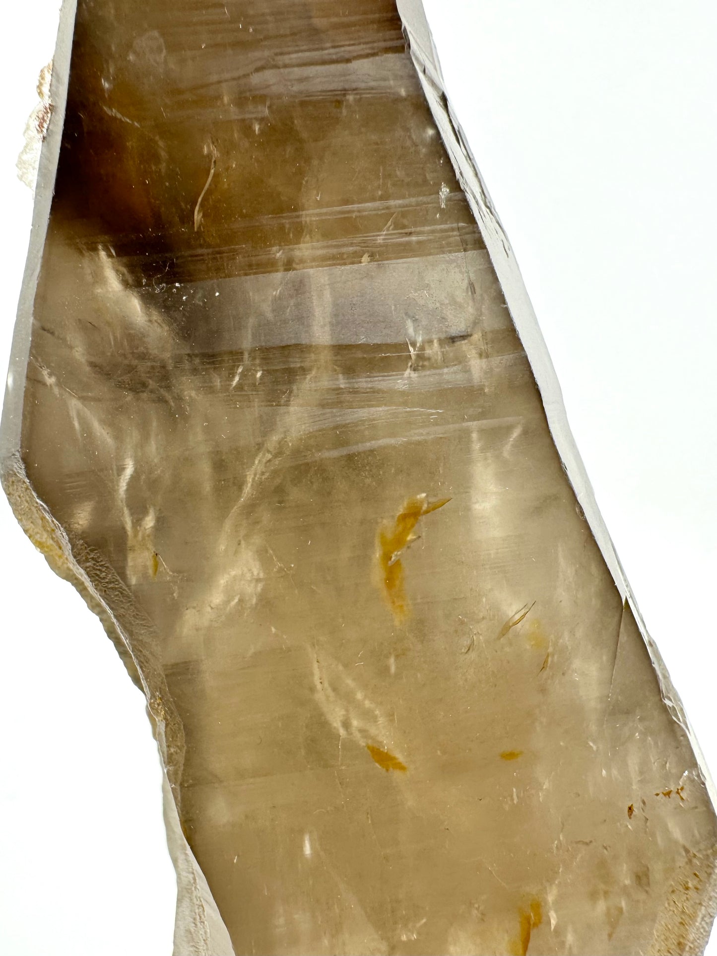 Detail of a face of the point, showing excellent pattern of interior inclusions. The surface is clear on this side and has excellent striations. There is some yellow-orange iron-staining in small surface-reaching feathers