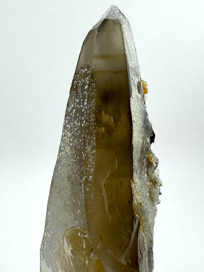 Detail of the tip of the point, the smoky quartz has good translucency. There is a filmy overlay with white spots covering the left face, and hyalite covers the right face.