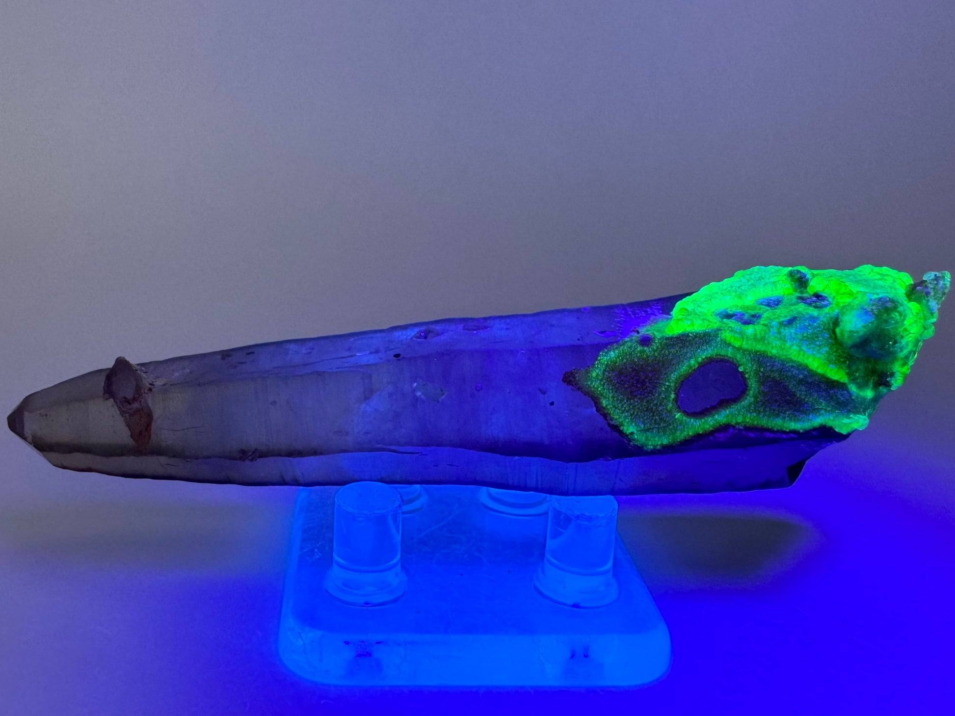 The point on its side in partial dark, illuminated in blue-tinted UV light. The mineral cluster and overgrowth on the base fluoresce a strong green color with a slight blue tint to it.