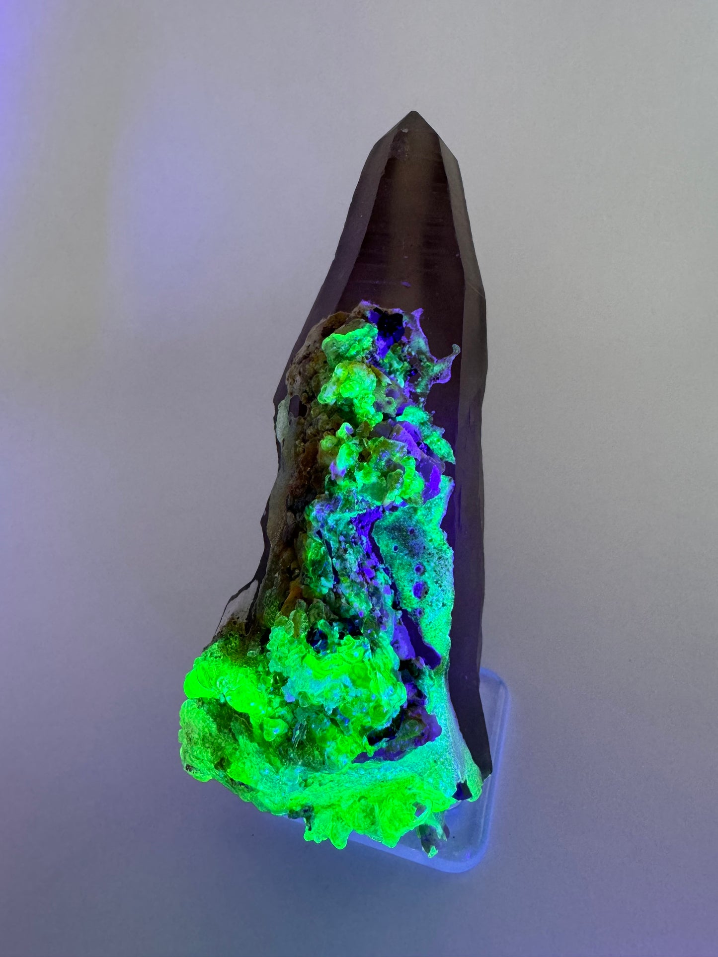 The specimen in the same position as the previous image, in dim lighting and illuminated in blue-tinted UV light. The hyalite fluoresces a strong yellowish-green with some light blue patches.