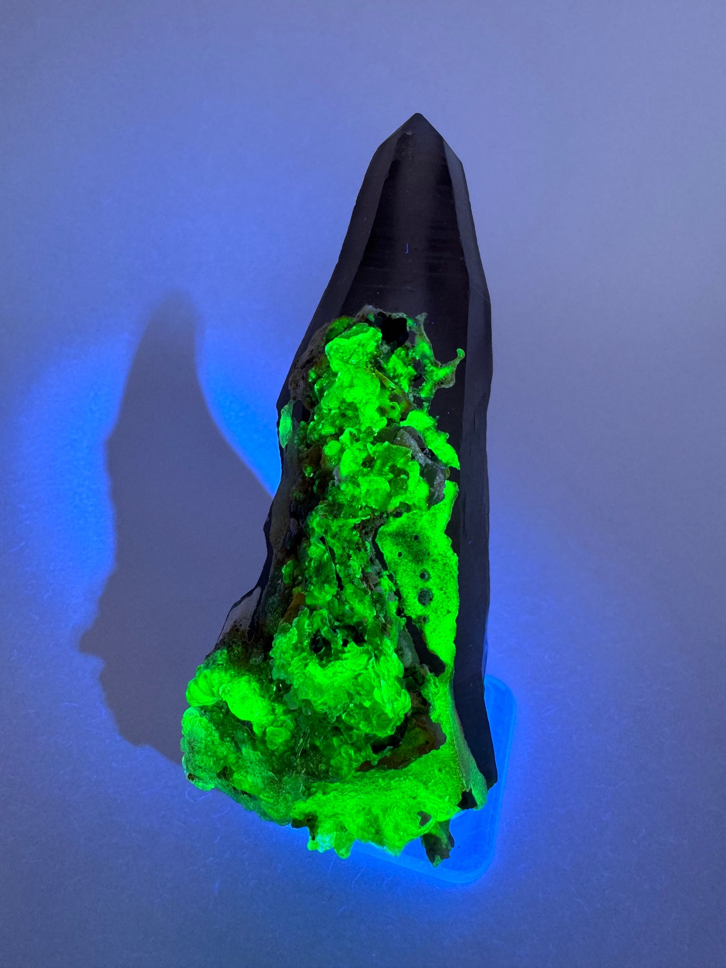 The specimen in the same position as the previous image, in the dark and illuminated in blue-tinted UV light. The hyalite fluoresces a strong yellowish-green color.