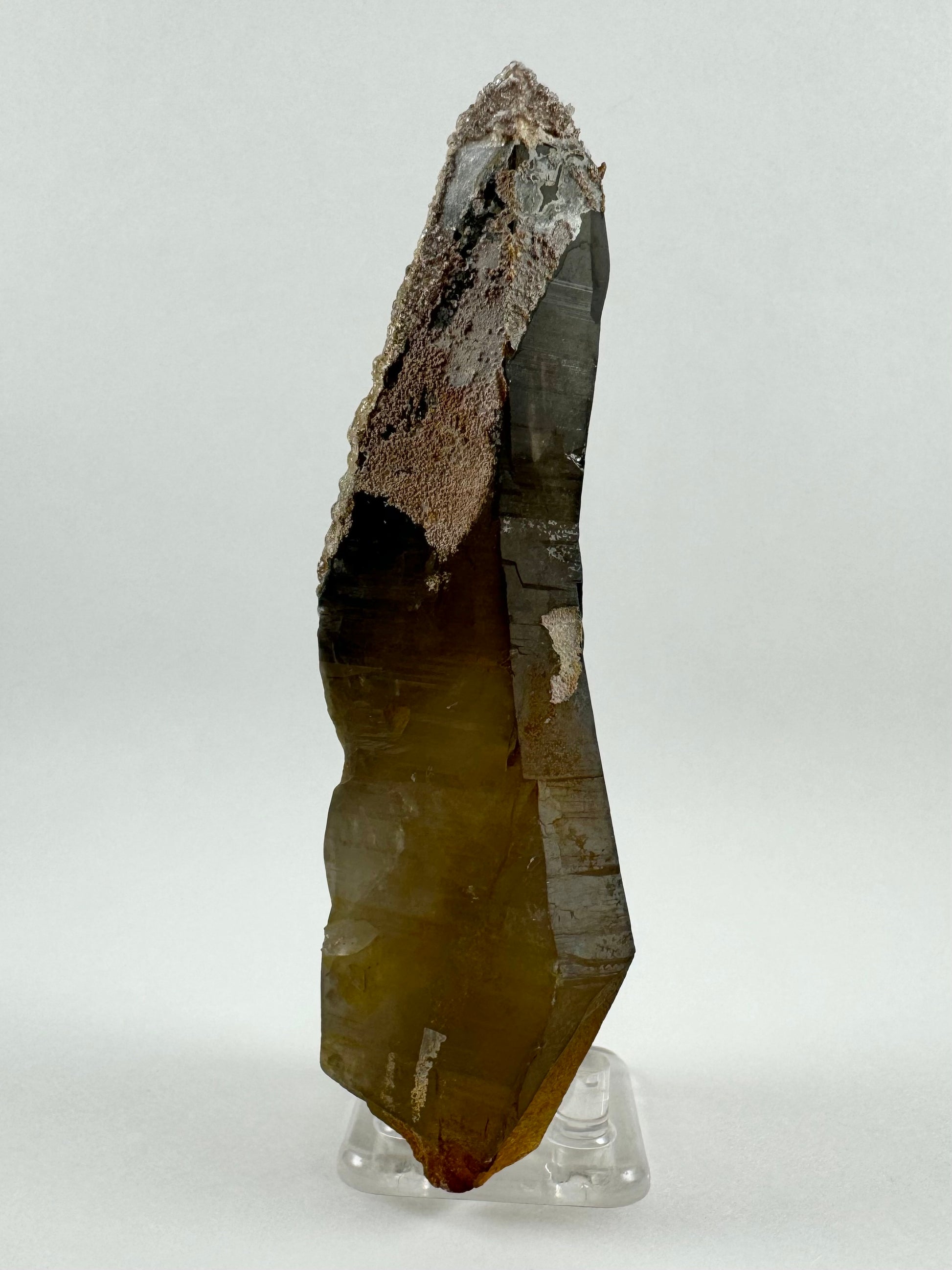 View of a side of the piece showing is has curvature, and also showing the best view of the deep color of the smoky quartz which fades from near-black near the tip to a dark brown at the base.