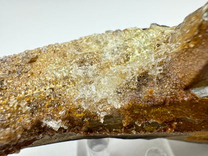 Detail vie of the colorless needle-like crystal clusters on beady yellow-brown hyalite.