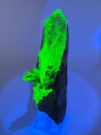 The piece in the same position as the previous image, in the dark and illuminated in blue-tinted UV light. The hyalite areas fluoresce a strong yellowish-green color.