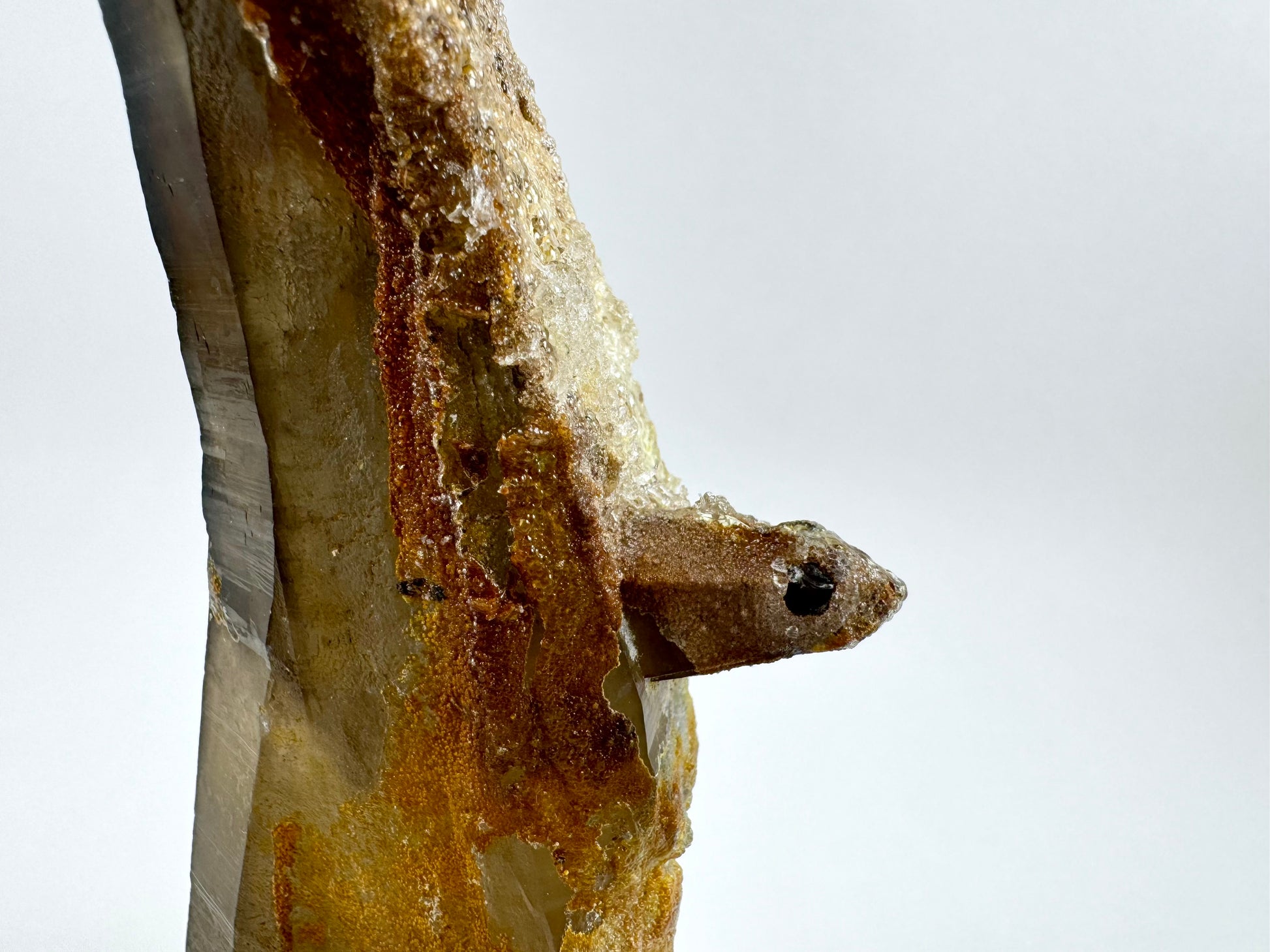 Detail view of the "flipper" crystal, a small well-formed smoky quartz covered in hyalite. The hyalite on the main point is lumpy and shiny