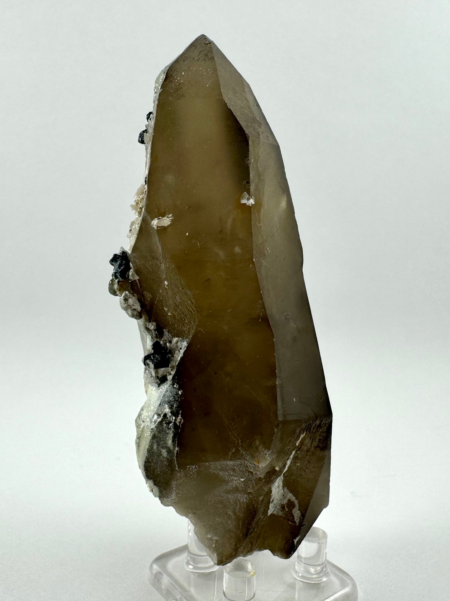 A side-view showing lighter brown color throughout the point, the dark color originating from the crust of minerals visible on the left-hand face.